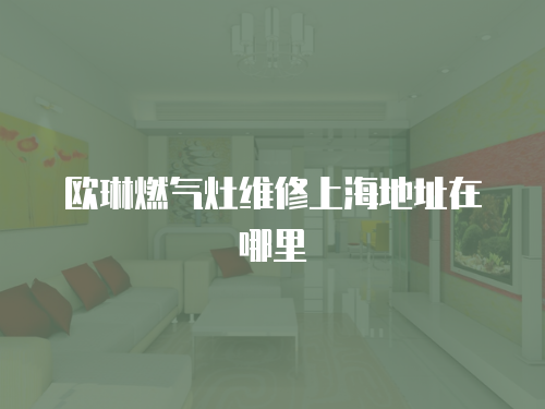 歐琳燃氣灶維修上海地址在哪里