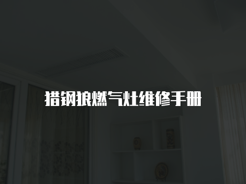 獵鋼狼燃?xì)庠罹S修手冊(cè)