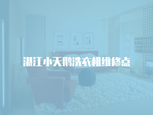 湛江小天鵝洗衣機維修點