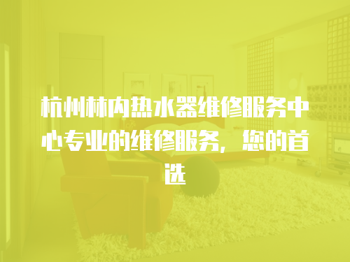 杭州林內熱水器維修服務中心專業的維修服務，您的首選