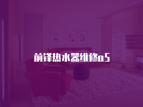 前鋒熱水器維修a5