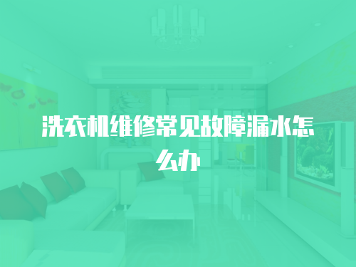 洗衣機維修常見故障漏水怎么辦