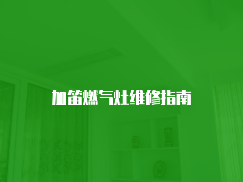 加笛燃?xì)庠罹S修指南
