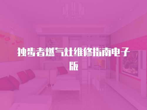 獨步者燃氣灶維修指南電子版