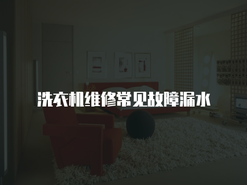 洗衣機(jī)維修常見故障漏水