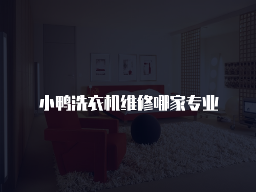小鴨洗衣機維修哪家專業