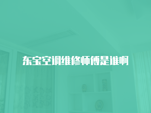 東寶空調維修師傅是誰啊