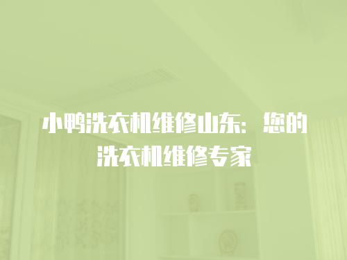 小鴨洗衣機(jī)維修山東：您的洗衣機(jī)維修專家