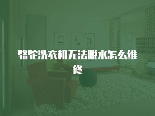 駱駝洗衣機無法脫水怎么維修