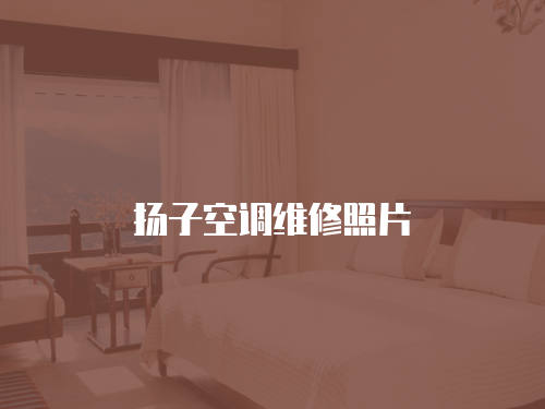 揚(yáng)子空調(diào)維修照片