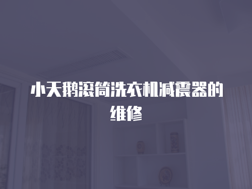 小天鵝滾筒洗衣機(jī)減震器的維修