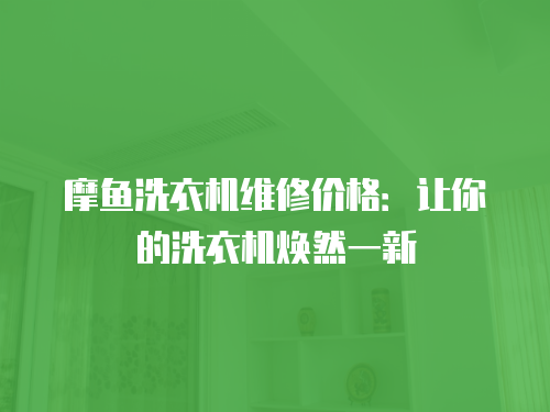 摩魚洗衣機維修價格：讓你的洗衣機煥然一新