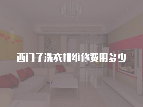 西門子洗衣機維修費用多少