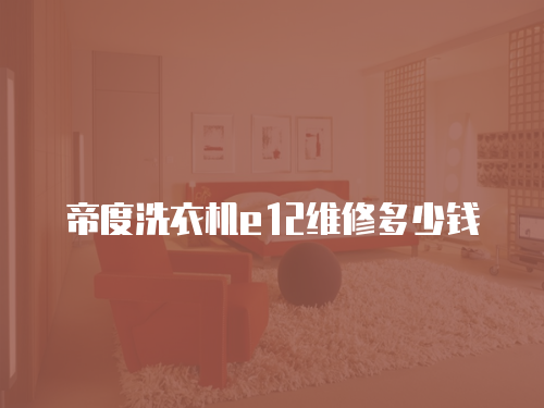 帝度洗衣機e12維修多少錢