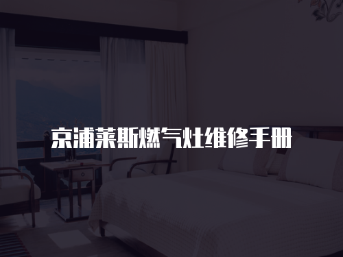 京浦萊斯燃?xì)庠罹S修手冊