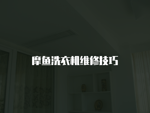 摩魚洗衣機維修技巧