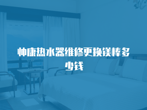 帥康熱水器維修更換鎂棒多少錢