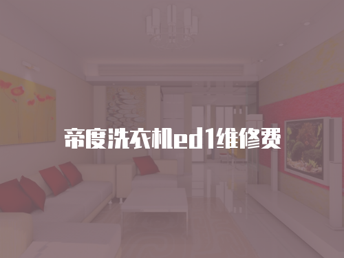 帝度洗衣機ed1維修費