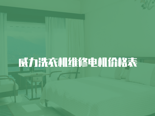 威力洗衣機維修電機價格表