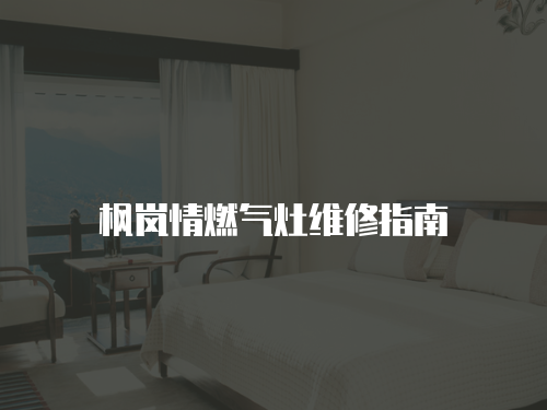 楓嵐情燃?xì)庠罹S修指南