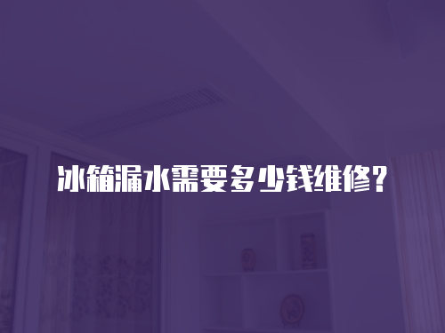 冰箱漏水需要多少錢維修？