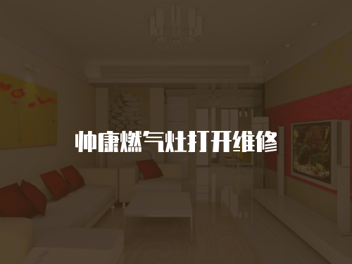帥康燃?xì)庠畲蜷_維修