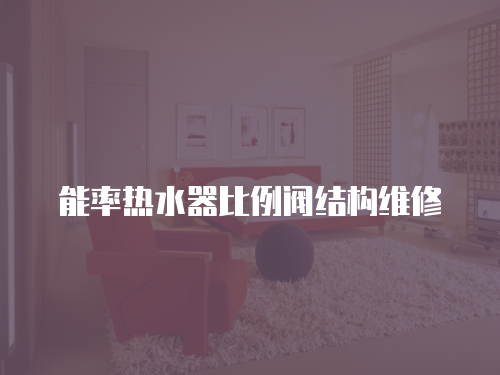 能率熱水器比例閥結(jié)構(gòu)維修