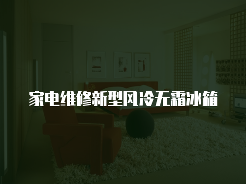 家電維修新型風(fēng)冷無(wú)霜冰箱