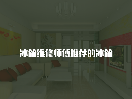 冰箱維修師傅推薦的冰箱