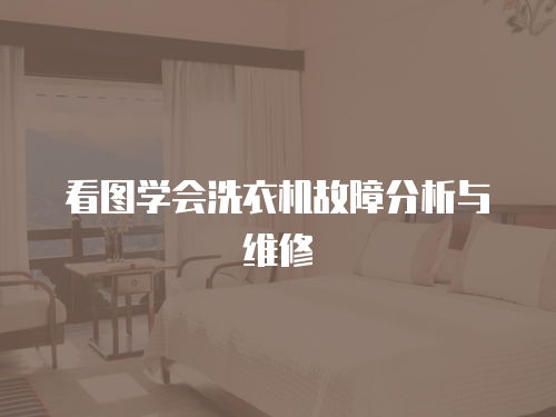 看圖學會洗衣機故障分析與維修