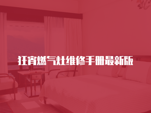狂宵燃氣灶維修手冊最新版
