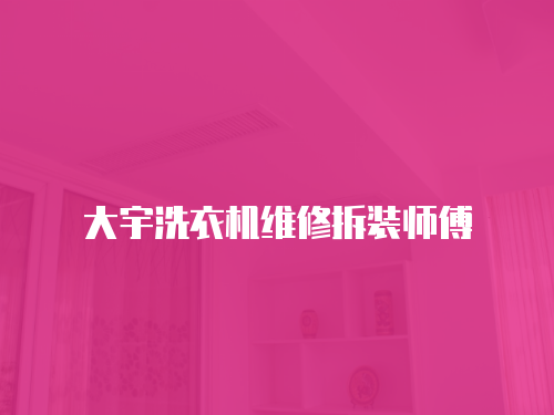 大宇洗衣機維修拆裝師傅