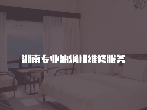 湖南專業油煙機維修服務