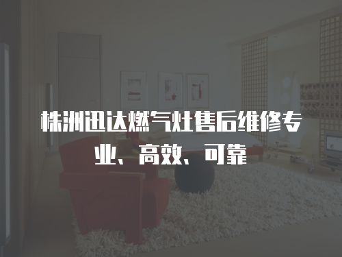 株洲迅達(dá)燃?xì)庠钍酆缶S修專業(yè)、高效、可靠