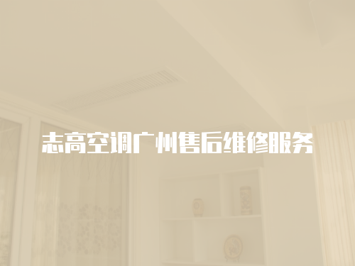 志高空調(diào)廣州售后維修服務