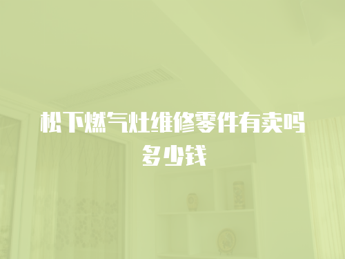 松下燃氣灶維修零件有賣嗎多少錢
