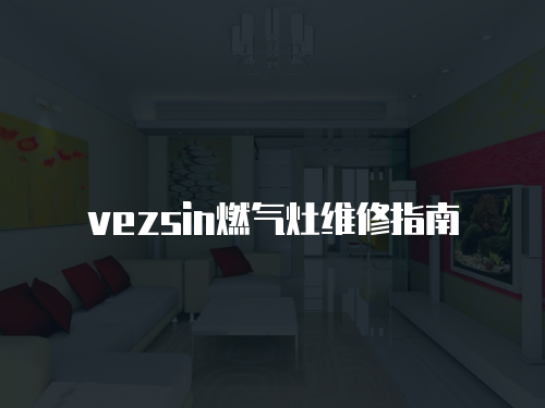vezsin燃?xì)庠罹S修指南