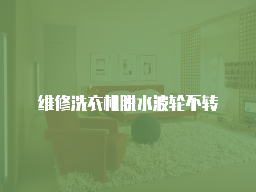 維修洗衣機脫水波輪不轉