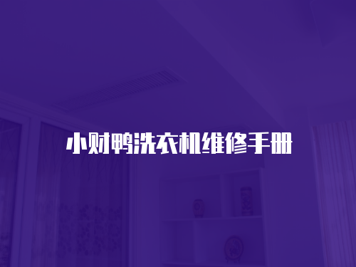 小財鴨洗衣機維修手冊