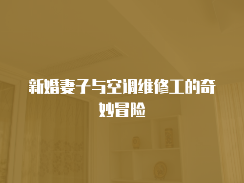 新婚妻子與空調(diào)維修工的奇妙冒險(xiǎn)