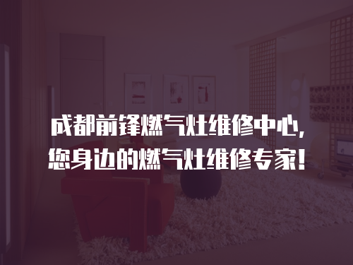 成都前鋒燃?xì)庠罹S修中心，您身邊的燃?xì)庠罹S修專家！