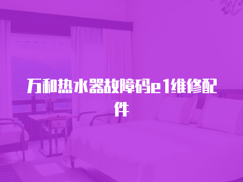 萬和熱水器故障碼e1維修配件