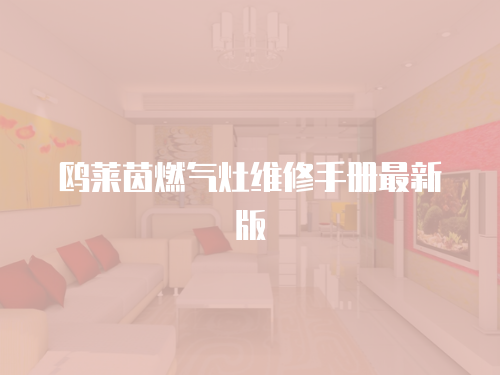 鷗萊茵燃?xì)庠罹S修手冊(cè)最新版