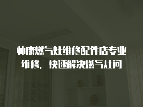 帥康燃?xì)庠罹S修配件店專業(yè)維修，快速解決燃?xì)庠顔? class=