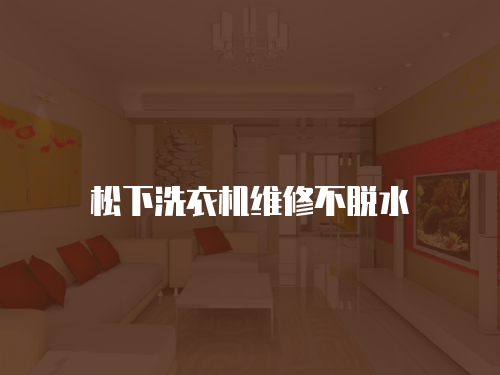 松下洗衣機維修不脫水