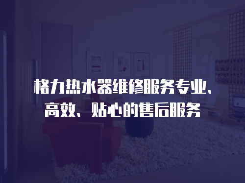 格力熱水器維修服務(wù)專業(yè)、高效、貼心的售后服務(wù)
