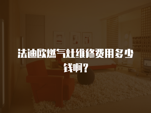 法迪歐燃?xì)庠罹S修費(fèi)用多少錢??？
