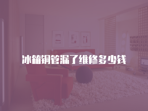 冰箱銅管漏了維修多少錢