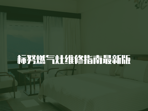 標努燃氣灶維修指南最新版