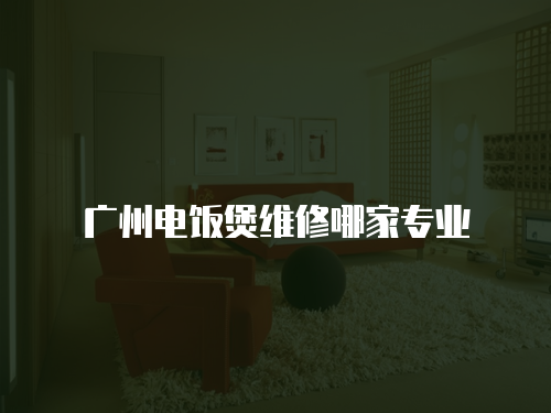 廣州電飯煲維修哪家專業